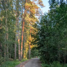 Фото с Вечер: из Зелёной Рощи