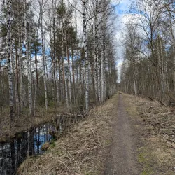 Фото с ТЭДБ: Прибывшие на луну
