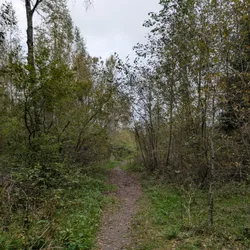 Фото с Радио "Назия"