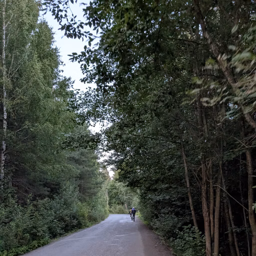 Фото с Вечер: из Зелёной Рощи