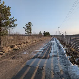 Фото с БК: Первый Весенний