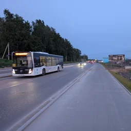 Фото с Вечер: Янинские Огуречные Электробусы