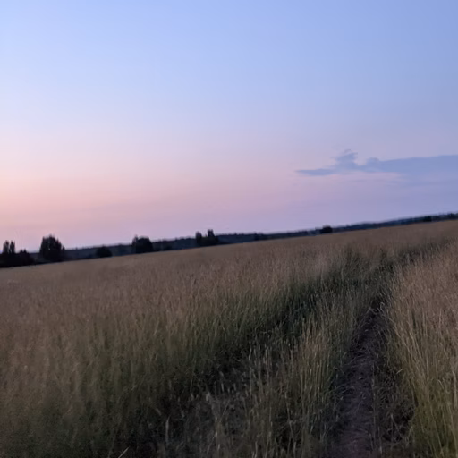 Фото с ПВ: Мега ДУУУБ