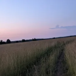 Фото с ПВ: Мега ДУУУБ