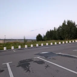 Фото с Вечер: Южные ароматы