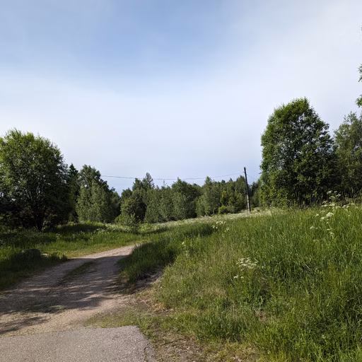 Фото с Выыыборги и то что северней