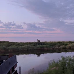 Фото с Победы наши славные