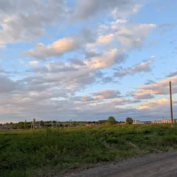 Фото с Вечер: Ванильный Петергофский