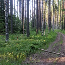 Фото с Победы наши славные