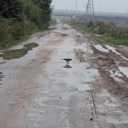 Фото с Старые тропинки Пушкинских Понтонов