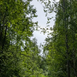 Фото с Тёмная сторона Кальтино