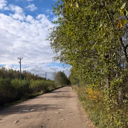 Фото с Осень на все 100
