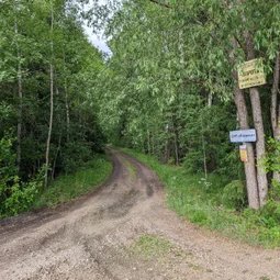 Фото с Выыыборги и то что северней