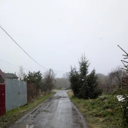 Фото с Ручеёк течёт в Саблино