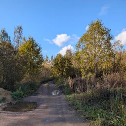 Фото с Осень на все 100