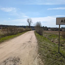 Фото с Приключения в Лесном царстве