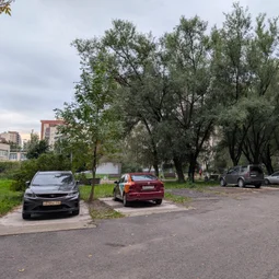 Фото с Большая Гаражная Ревизия