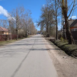 Фото с БК: Дорога в Саблино
