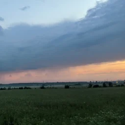 Фото с Победы наши славные