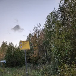 Фото с Осень на все 100