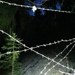 Фото с ПВ: Победа Биологов над Разумом