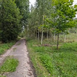 Фото с Малая Родина