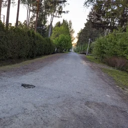 Фото с НБ: Тосненский