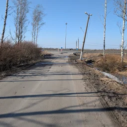 Фото с БК: Первый Весенний