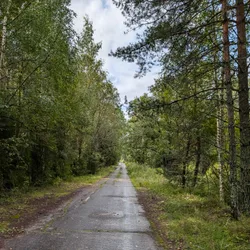 Фото с Киви Выбирает Блинчики