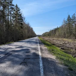 Фото с Приключения в Лесном царстве