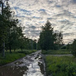 Фото с Вечер: Заросший университет