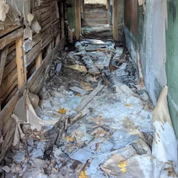 Фото с Прогулка около Виипури