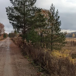 Фото с Прогулка около Виипури