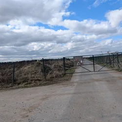 Фото с ТЭДБ: Прибывшие на луну