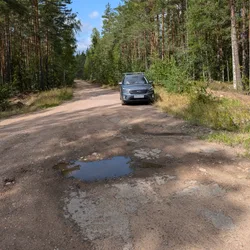 Фото с Киви Выбирает Блинчики