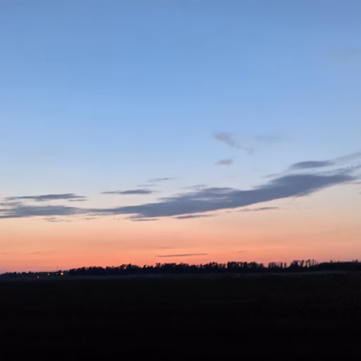 Фото с ПВ: Мега ДУУУБ