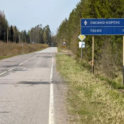 Фото с Приключения в Лесном царстве