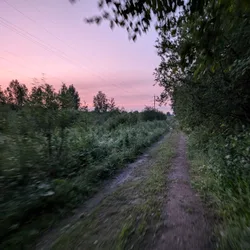 Фото с Фирма: Волховский фронт - ночь