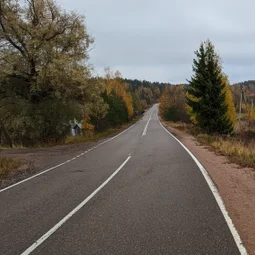 Фото с Прогулка около Виипури