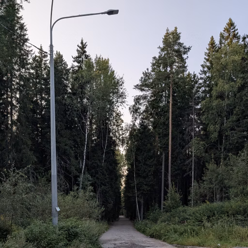 Фото с Вечер: из Зелёной Рощи