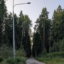 Фото с Вечер: из Зелёной Рощи