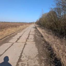 Фото с БК: Первый Весенний