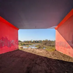 Фото с Котельская осень