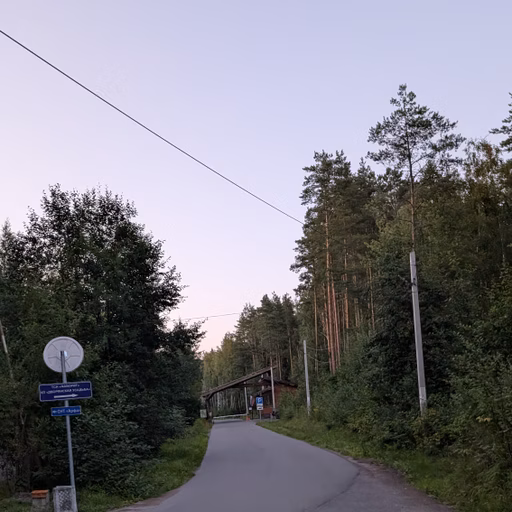 Фото с Вечер: из Зелёной Рощи