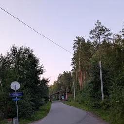 Фото с Вечер: из Зелёной Рощи