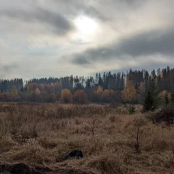 Фото с Прогулка около Виипури