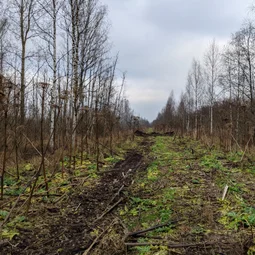 Фото с БК: И ещё раз про узкоколейки...