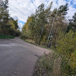 Фото с Осень на все 100