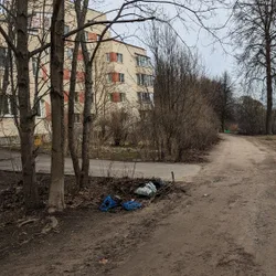 Фото с БК: Finding Beauty