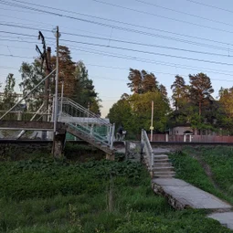 Фото с НБ: Тосненский